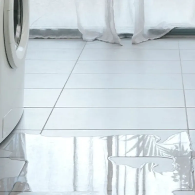 Appliance Leak Cleanup in Loughman, FL