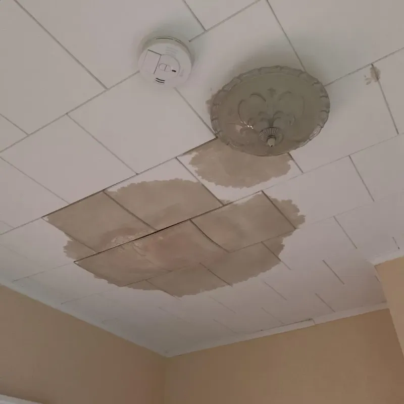 Ceiling Water Damage Repair in Loughman, FL
