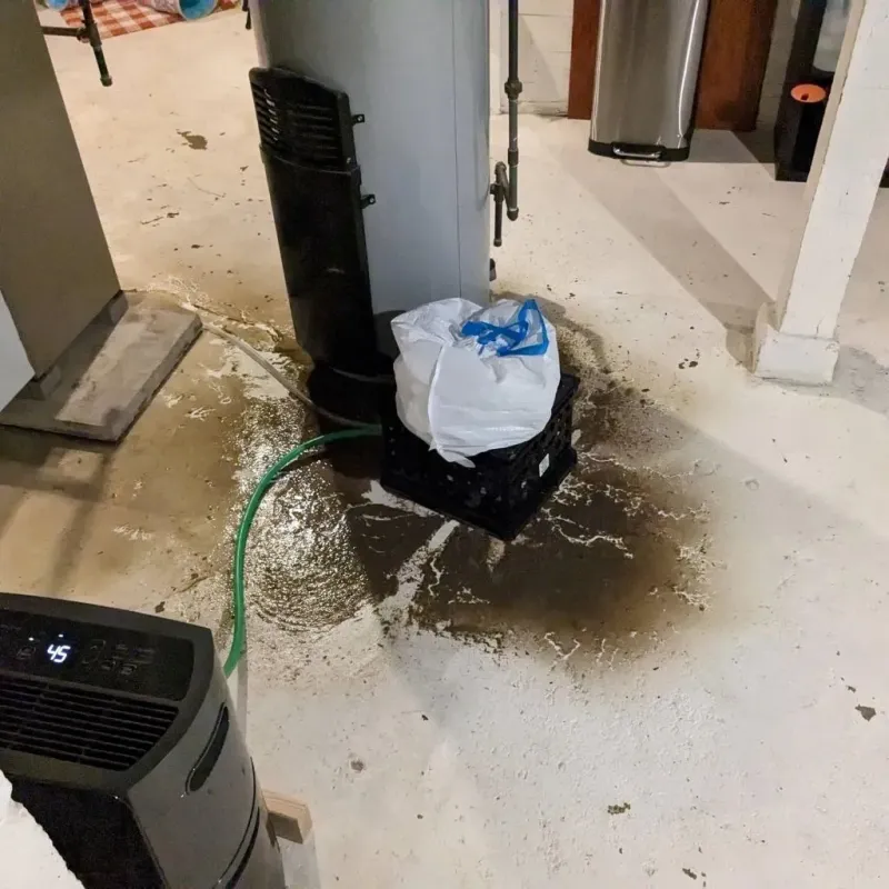 Sewage Backup Cleanup Service in Loughman, FL
